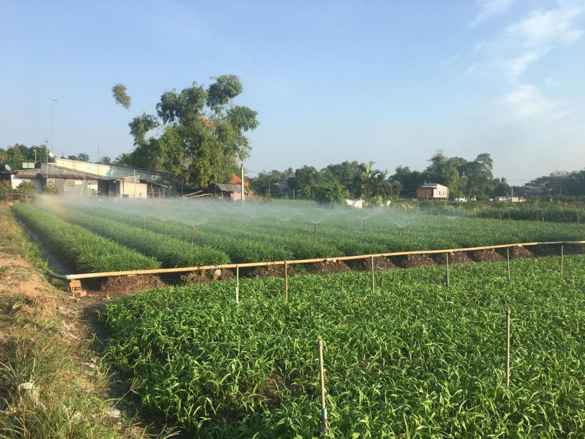 Chau Doc Homestay Bagian luar foto